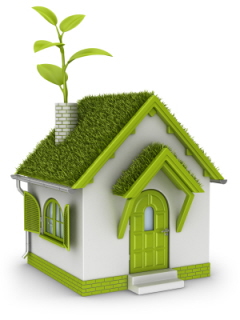 Green Home Plans