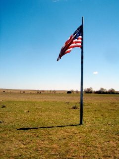Government Land Grants